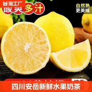 四川安岳黄柠檬新鲜水果奶茶店专用现摘无籽薄皮一级香水甜柠檬黄