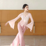 古典舞纱衣中国舞服装，身韵形体服舞蹈，上衣女款春夏舞蹈练功服