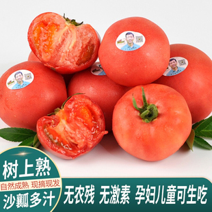 老王家老味道番茄西红柿新鲜蔬菜礼盒农家自然熟生吃4斤水果2000g