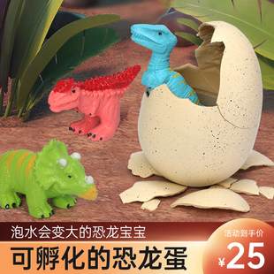 恐龙蛋孵化蛋泡水变大号小动物，手偶男孩儿童三角，龙霸王龙玩具盲盒