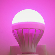 粉红色led灯节能灯氛围，调情灯泡e27螺口紫色，粉紫灯粉色情调光源色