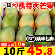 四川攀枝花凯特芒果10斤新鲜当季应季水果大芒果超甜整箱芒果