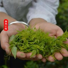 野生莓茶张家界茅岩莓茶特级龙须嫩芽尖土家长寿藤 新茶500g