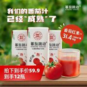 蕃茄跳动红番茄果蔬汁番茄红素 200ml*12瓶内蒙营养健康果蔬饮料