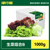 绿行者生菜沙拉材料3种生菜组合2斤装低脂混合蔬菜沙拉即食B