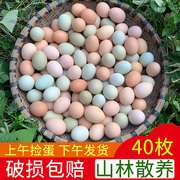 正宗土鸡蛋农家散养新鲜农村，自养天然40枚草鸡蛋笨鸡蛋乌绿壳蛋