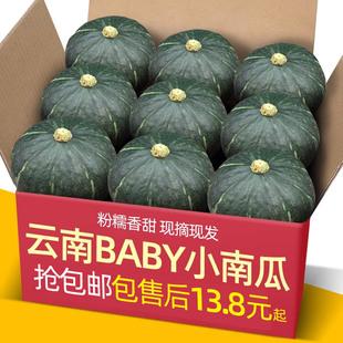 正宗云南贝贝板栗BABY小南瓜9斤装宝宝辅食日本新鲜栗面粉糯老瓜