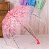 樱花伞透明雨伞折叠小学生公主，儿童女孩拱形小清新长柄伞粉色长柄