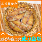 预制菜潮汕皮鱼饭，海鲜即食达濠鱼饭500克广东食品