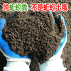 蚯蚓粪有机肥种花种菜蚯蚓土育苗蚯蚯粪营养土庭园艺通用肥料