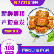 大闸蟹1.2-1.4两满黄六月黄新鲜河蟹清水螃蟹鲜活10只水产