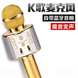 手机全民K歌直播无线蓝牙音响儿童麦克风专用KTV话筒MP3一体式