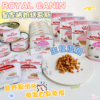 日本皇家奶糕幼猫罐头餐盒 离乳期怀孕慕斯营养主食罐