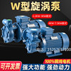 w型高扬程(高扬程)单级悬臂，式漩涡泵增压泵高压泵，锅炉给水补水泵三相380v
