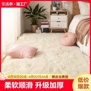 地毯卧室床边毯加厚坐垫少女房间客厅茶几毯毛毯地垫入户家用