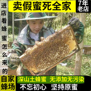 深山蜂蜜纯正天然农家自产野生土蜂蜜龙眼桂圆蜜百花冬蜜福建特产