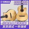 Yamaha雅马哈古典吉他NCX1 NTX3 NTX1 NX系列尼龙弦电箱古典吉他