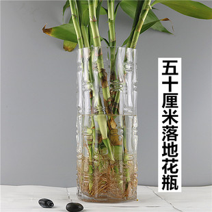 特大号直筒花瓶玻璃透明高50cm插花大号，客厅摆件水培富贵竹落地