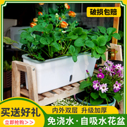 阳台懒人花盆自吸水种菜盆种花长方形种植箱草莓盆栽塑料长条花槽