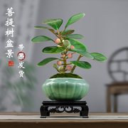 小盼菩提树盆栽带果植物，办公室内花卉桌面绿植盆景，好养活禅意摆件