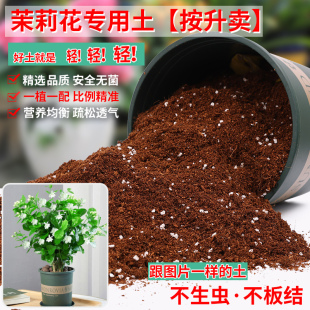 茉莉花专用土营养土养花专用通用型家用盆栽花卉有机土壤种植花土