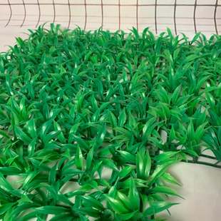 仿真植物绿植背景墙绿草装饰天花顶墙壁绿化塑料假草皮米兰草坪