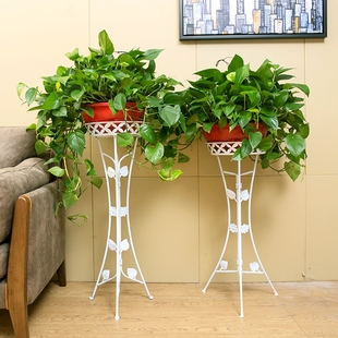 欧式花架铁艺室内客厅家用多层落地式花盆架，绿萝花篮架加厚款