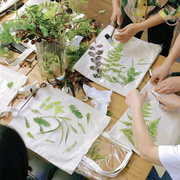 植物敲拓染材料包树叶帆布袋扎染幼儿园启蒙儿童拓印美术区域