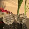水培器皿创意玻璃花盆水养植物瓶，透明花器绿萝铜钱草花瓶圆形容器