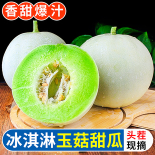 正宗玉菇甜瓜9斤新鲜水果整箱，当季香瓜蜜瓜冰淇淋哈脆甜密瓜5