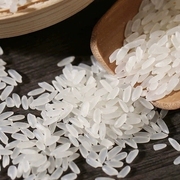 苗氏香米东北大米新米20斤长粒香，大米10kg粳米农家大米