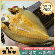 大号黄花鱼干500g黄鱼鲞鱼干海鲜干货咸鱼大连特产