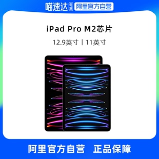 自营apple苹果ipadpro11英寸12.9英寸m2芯片wlan版，平板电脑2022款设计办公学习平板