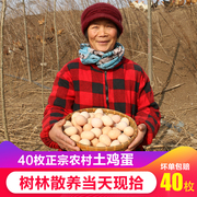 农村土鸡蛋露天散养新鲜草鸡蛋，农家自养现拾笨鸡蛋柴鸡蛋40枚整箱