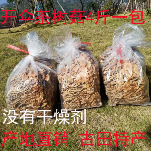 散装净重4斤装福建特产古田茶树菇干货开伞茶薪菇，新货无干燥剂