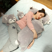 可爱哈士奇公仔布娃娃毛绒玩具，狗玩偶狗熊抱枕，女生睡觉床上送女友