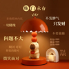 可爱卡皮巴拉结婚小台灯女神节装饰品摆件送女生乔迁新居生日礼物