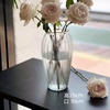 大号复古玻璃花瓶客厅，摆件插花简约透明水养富贵竹，鲜花专用水培瓶