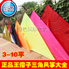 王侉子(王侉子)风筝微风大型三角风筝航空软伞布碳杆潍坊线具老店
