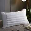 酒店床上用品枕芯白色羽丝绒医院宾馆床上用品决明子荞麦枕头
