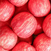 礼盒装正宗陕西洛川苹果水果，新鲜当季整箱红富士，一级脆甜10斤