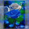 蓝色妖姬十字绣2023绣客厅高级感小幅玫瑰，花卉刺绣手工自己绣