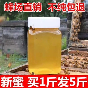 蜂蜜纯正天然农家自产结晶土蜂蜜百花蜜，洋槐蜜枣花蜜500克1斤