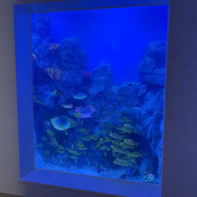 专业弧形圆柱水族箱海水缸创意海洋生态缸来图订做亚克力鱼缸