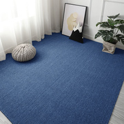 ins风蓝色地毯卧室客厅办公室地垫全铺商用水泥地直接铺拍照地毯