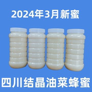 新鲜2024年油菜花蜂蜜原蜜白蜜自产自销结晶春封盖成熟雪蜜