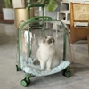 宠物拉杆箱猫包外出便携猫咪，行李箱透明大号猫咪小推车狗狗太空舱