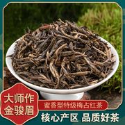 大师手作特级梅占金骏眉红茶蜜香型福建武夷山桐木关茶叶500g送礼