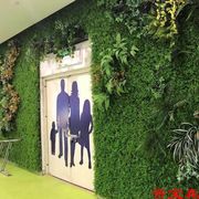 假草坪人造绿植高草室内阳台橱窗壁挂人工草皮塑料植物墙