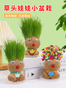草头娃娃创意小盆栽，办公室可爱植物趣味长草娃娃，儿童水培绿植客厅